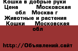 Кошка в добрые руки! › Цена ­ 100 - Московская обл., Москва г. Животные и растения » Кошки   . Московская обл.